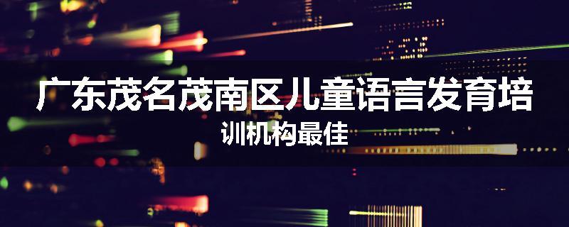广东茂名茂南区儿童语言发育培训机构最佳