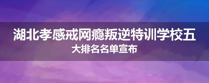 湖北孝感戒网瘾叛逆特训学校五大排名名单宣布
