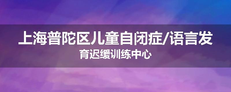 上海普陀区儿童自闭症/语言发育迟缓训练中心