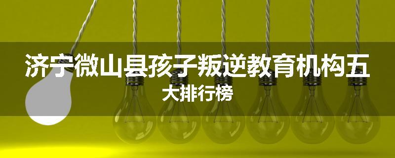 济宁微山县孩子叛逆教育机构五大排行榜