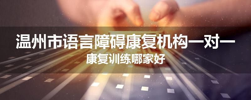 温州市语言障碍康复机构一对一康复训练哪家好