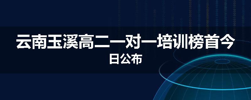 云南玉溪高二一对一培训榜首今日公布
