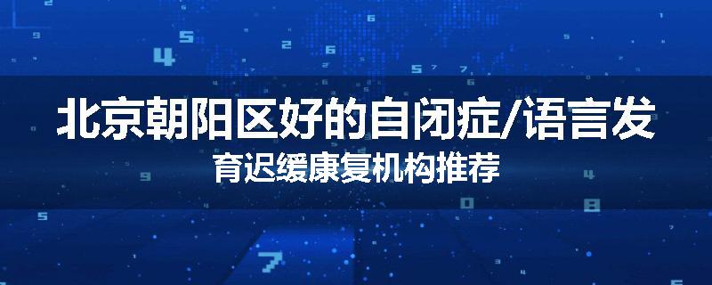北京朝阳区好的自闭症/语言发育迟缓康复机构推荐