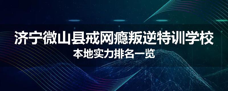 济宁微山县戒网瘾叛逆特训学校本地实力排名一览