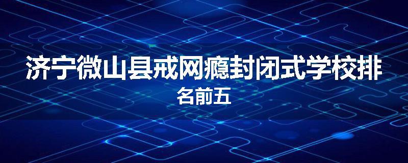济宁微山县戒网瘾封闭式学校排名前五