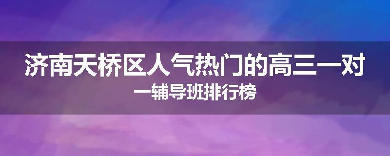 济南天桥区人气热门的高三一对一辅导班排行榜