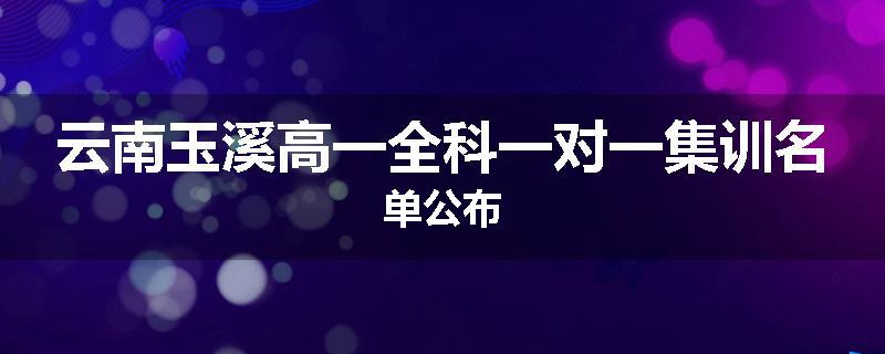 云南玉溪高一全科一对一集训名单公布