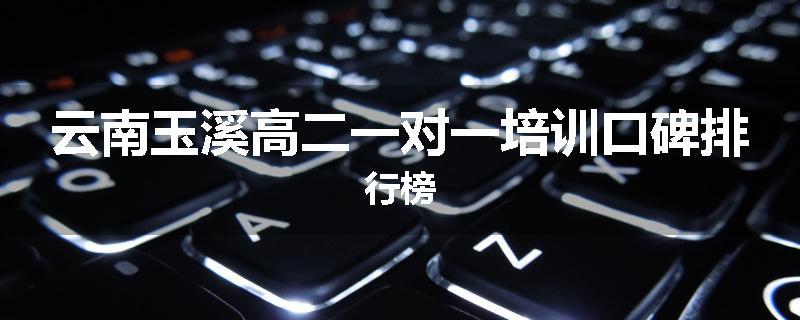 云南玉溪高二一对一培训口碑排行榜