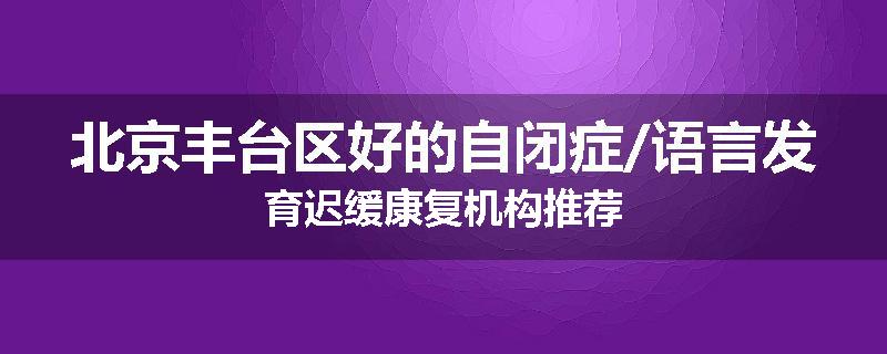 北京丰台区好的自闭症/语言发育迟缓康复机构推荐