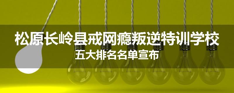 松原长岭县戒网瘾叛逆特训学校五大排名名单宣布