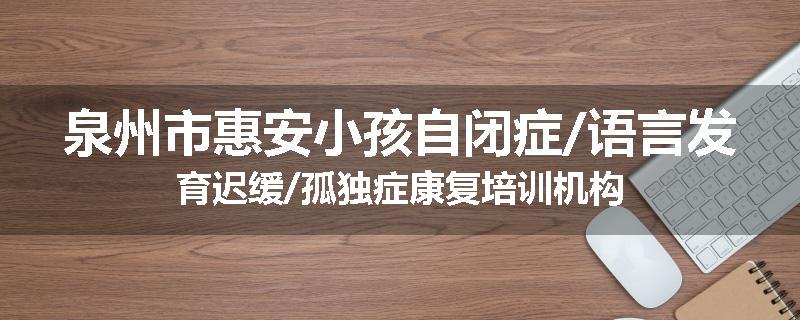 泉州市惠安小孩自闭症/语言发育迟缓/孤独症康复培训机构