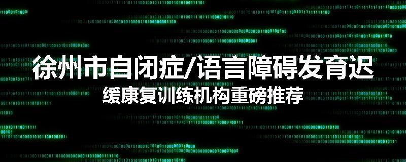 徐州市自闭症/语言障碍发育迟缓康复训练机构重磅推荐