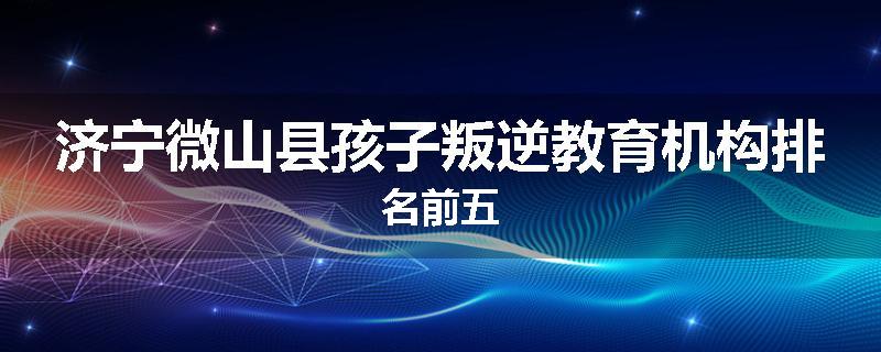 济宁微山县孩子叛逆教育机构排名前五