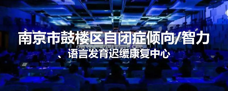 南京市鼓楼区自闭症倾向/智力、语言发育迟缓康复中心