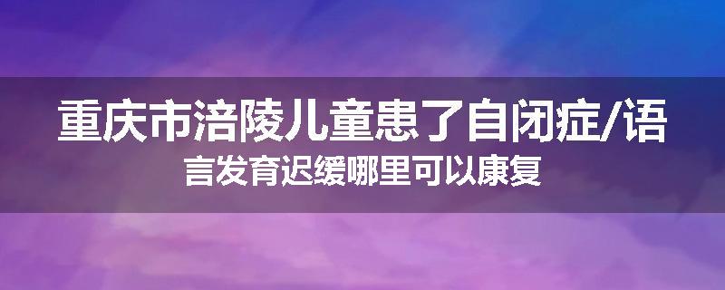 重庆市涪陵儿童患了自闭症/语言发育迟缓哪里可以康复