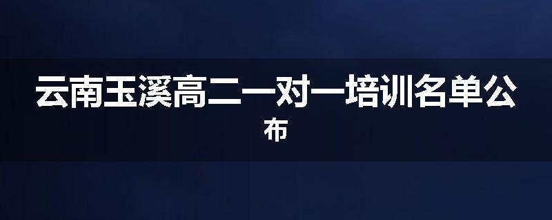 云南玉溪高二一对一培训名单公布