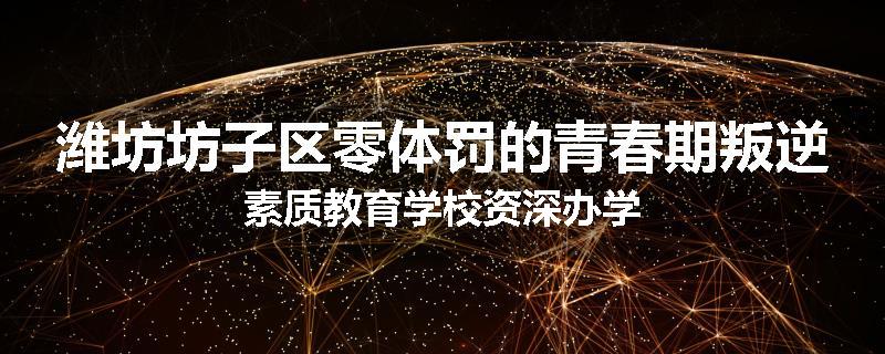 潍坊坊子区零体罚的青春期叛逆素质教育学校资深办学