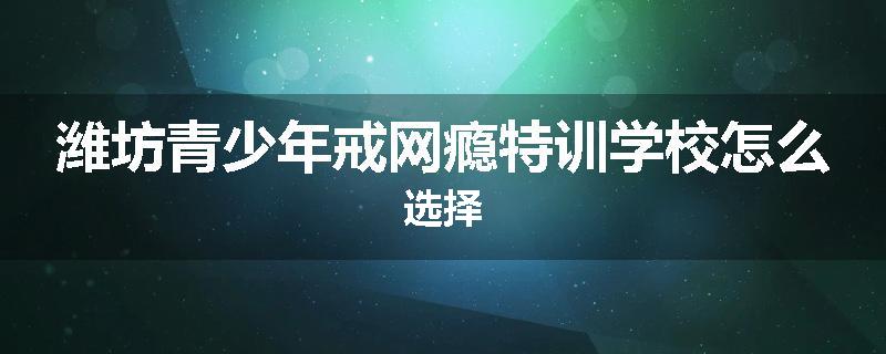 潍坊青少年戒网瘾特训学校怎么选择