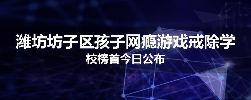 潍坊坊子区孩子网瘾游戏戒除学校榜首今日公布
