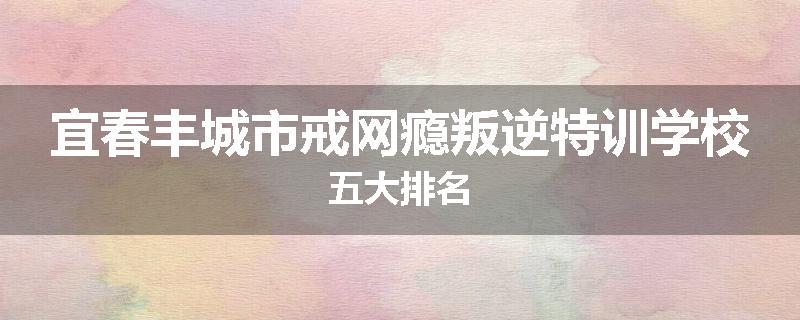 宜春丰城市戒网瘾叛逆特训学校五大排名