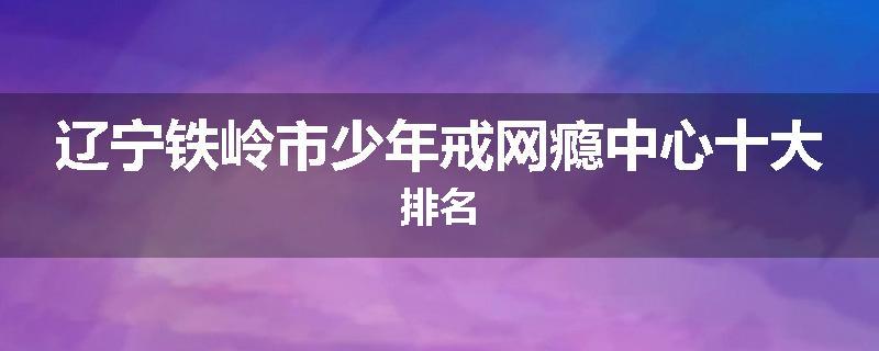 辽宁铁岭市少年戒网瘾中心十大排名