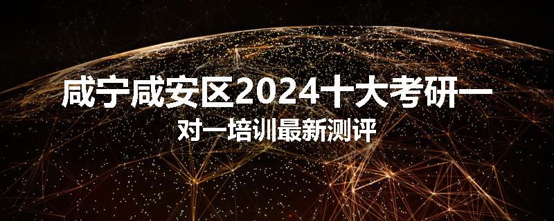 咸宁咸安区2024十大考研一对一培训最新测评