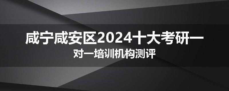 咸宁咸安区2024十大考研一对一培训机构测评