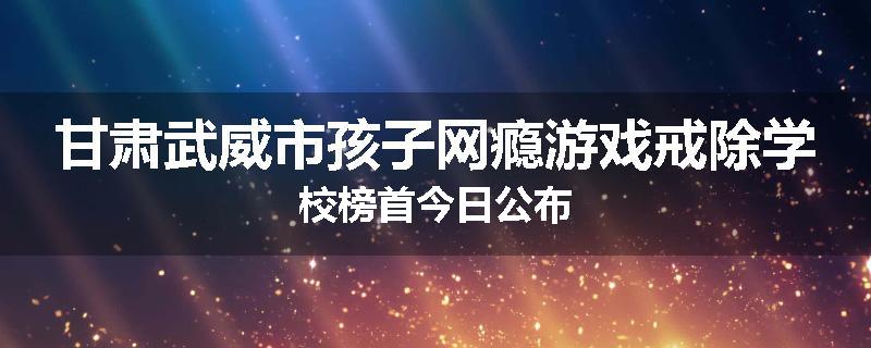 甘肃武威市孩子网瘾游戏戒除学校榜首今日公布