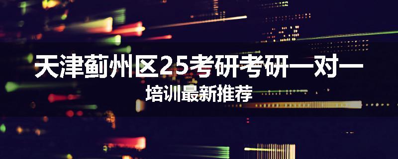 天津蓟州区25考研考研一对一培训最新推荐