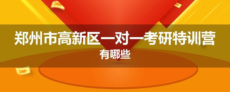 郑州市高新区一对一考研特训营有哪些