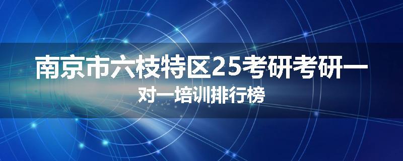 南京市六枝特区25考研考研一对一培训排行榜