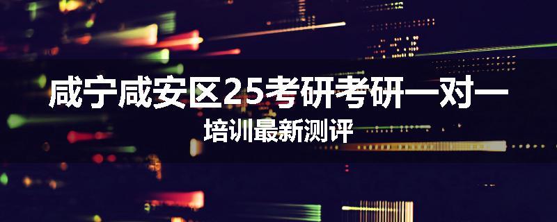 咸宁咸安区25考研考研一对一培训最新测评