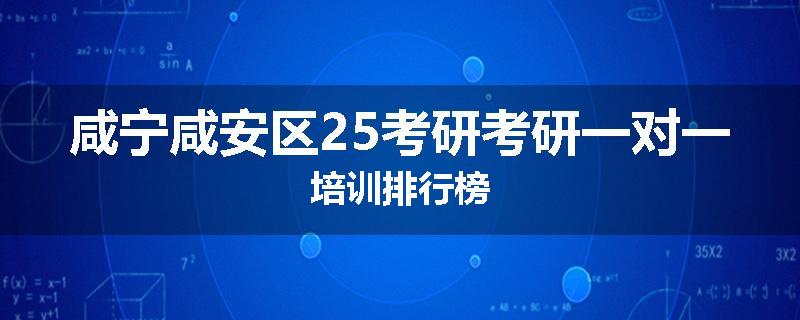 咸宁咸安区25考研考研一对一培训排行榜