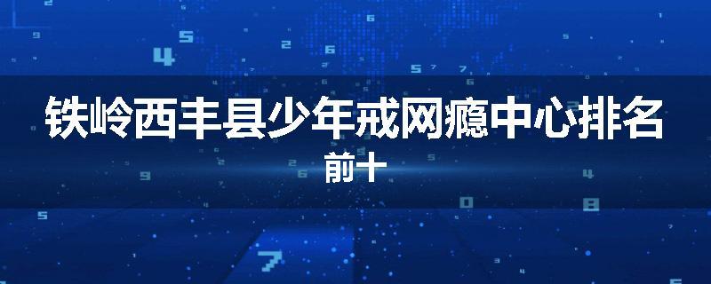 铁岭西丰县少年戒网瘾中心排名前十