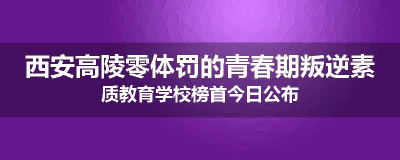 西安高陵零体罚的青春期叛逆素质教育学校榜首今日公布