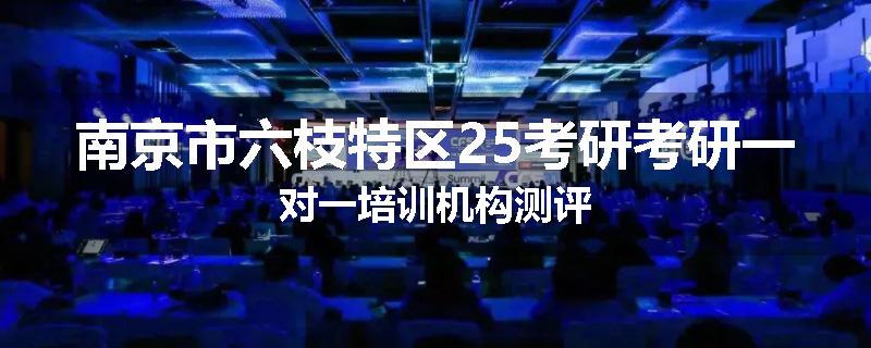 南京市六枝特区25考研考研一对一培训机构测评