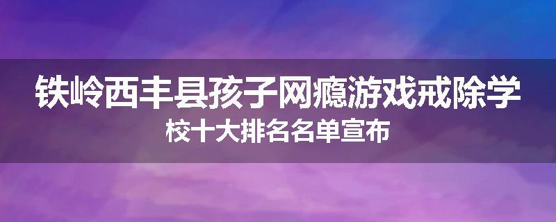 铁岭西丰县孩子网瘾游戏戒除学校十大排名名单宣布