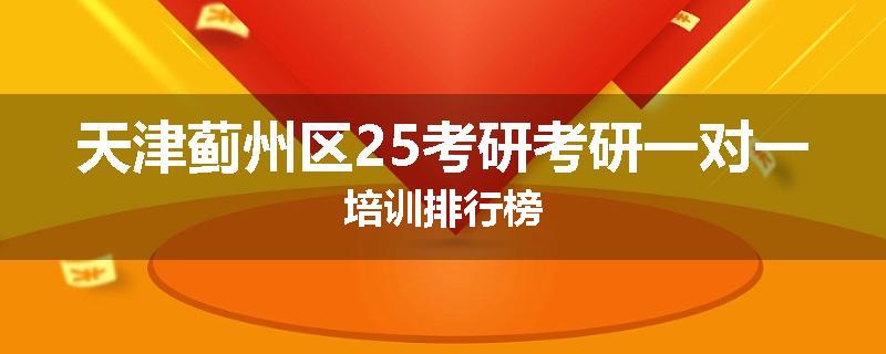 天津蓟州区25考研考研一对一培训排行榜