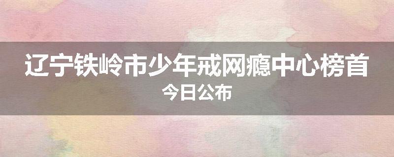 辽宁铁岭市少年戒网瘾中心榜首今日公布