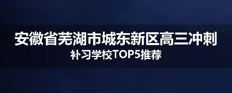 安徽省芜湖市城东新区高三冲刺补习学校TOP5推荐
