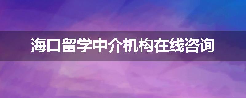 海口留学中介机构在线咨询