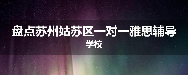 盘点苏州姑苏区一对一雅思辅导学校
