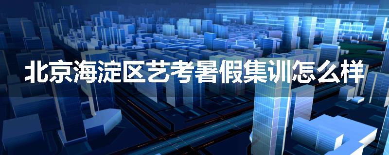 北京海淀区艺考暑假集训怎么样