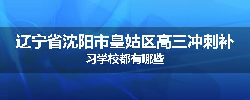 辽宁省沈阳市皇姑区高三冲刺补习学校都有哪些