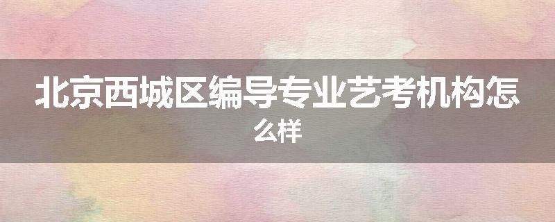 北京西城区编导专业艺考机构怎么样