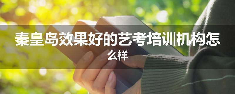 秦皇岛效果好的艺考培训机构怎么样