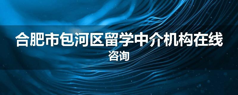 合肥市包河区留学中介机构在线咨询