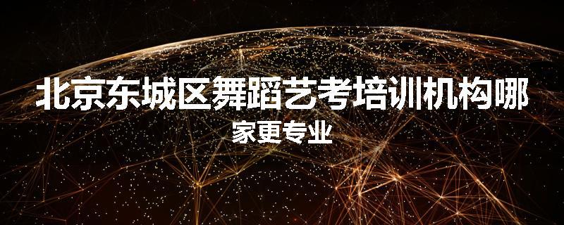 北京东城区舞蹈艺考培训机构哪家更专业