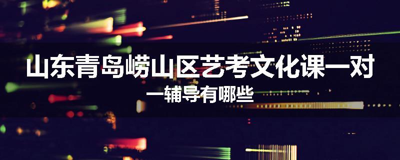 山东青岛崂山区艺考文化课一对一辅导有哪些