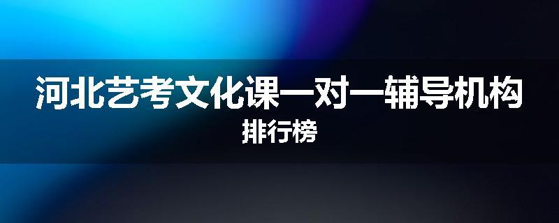 河北艺考文化课一对一辅导机构排行榜